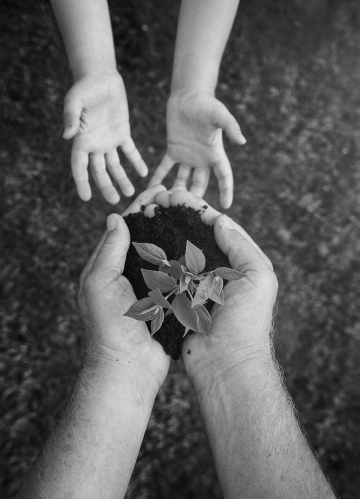 Mann gibt Setzling an Kind weiter